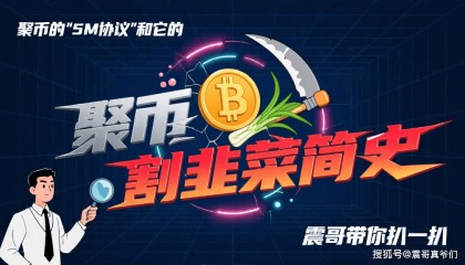 聚币的“5M协议”和它的割韭菜简史——震哥带你扒一扒