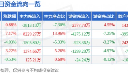 股票行情快报：东材科技（601208）1月17日主力资金净卖出3813.13万元