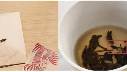 茶里喝出青蛙，食安问题重创奈雪的茶