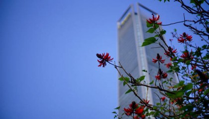 世茂集团(00813.HK)：41亿美元可换债已转换为公司股份，18亿人民币境内贷款获展期
