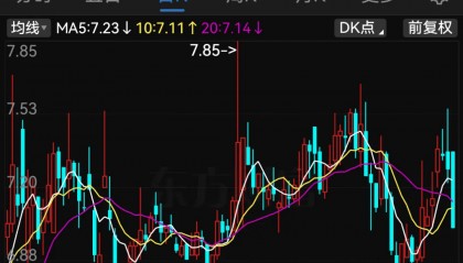 停牌！600624，将被ST