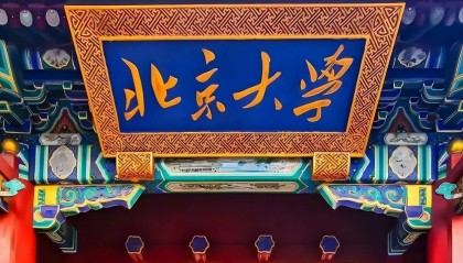 北大数院就业数据外流,撕开数学专业遮羞布:名校数学毕业多做教培