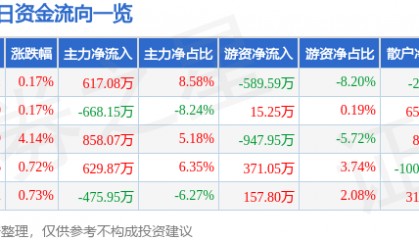股票行情快报：准油股份（002207）3月12日主力资金净买入617.08万元