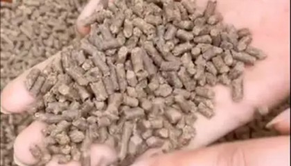 豆粕现货(豆粕现货3月10日已跌至3302元)