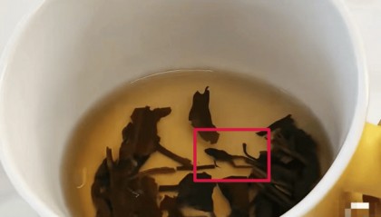 奈雪的茶被曝光喝出青蛙尸体
