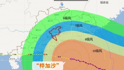 广州已进入风圈！“桦加沙”将于今日登陆广东！