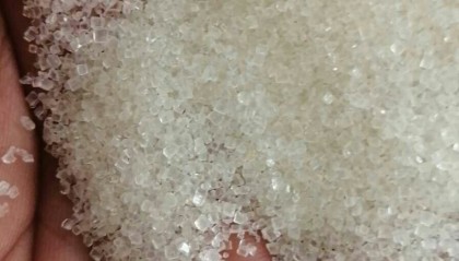 白糖现货(白糖现货行情走势图)