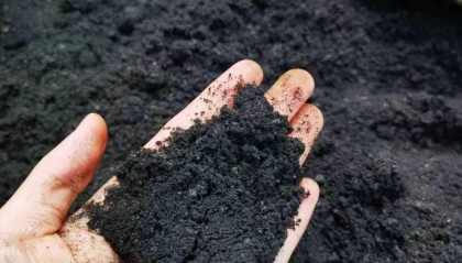 沥青现货(沥青现货价格延续跌势)