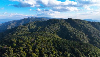 云南哀牢山新规出台：禁止任何单位和个人擅入哀牢山自然保护区，从事科研活动须报批