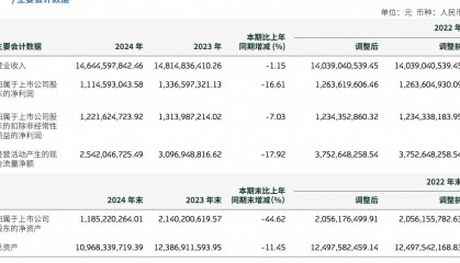 2024年啤酒销量下滑，重庆啤酒、青岛啤酒开拓第二增长曲线