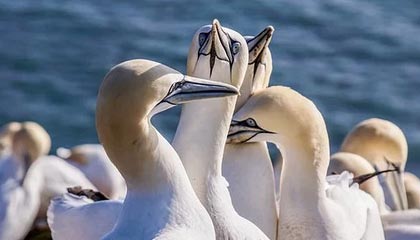 天融信接待41家机构调研,包括Ofionk Capital、北京中泽控股集团有限公司、德邦证券等