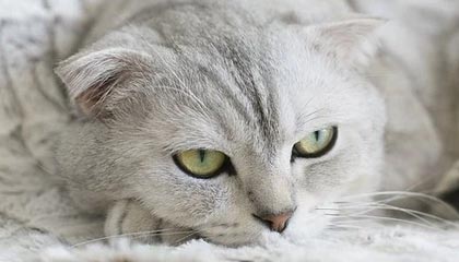 新版人民币已经到来,纸币会直接消失吗?苏州率先进行试点