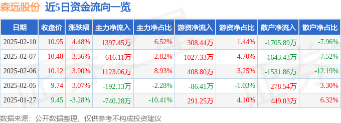 股票行情快报：森远股份（300210）2月10日主力资金净买入1397.45万元