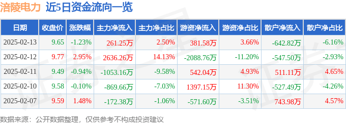 股票行情快报：涪陵电力（600452）2月13日主力资金净买入261.25万元