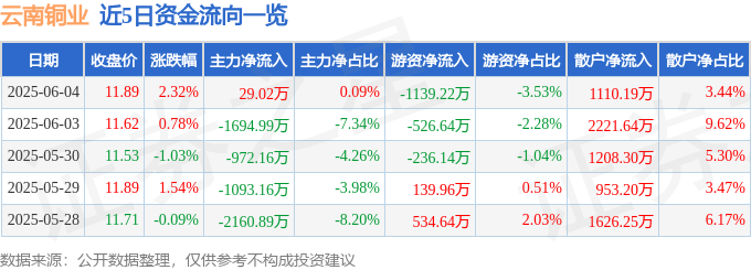 股票行情快报：云南铜业（000878）6月4日主力资金净买入29.02万元