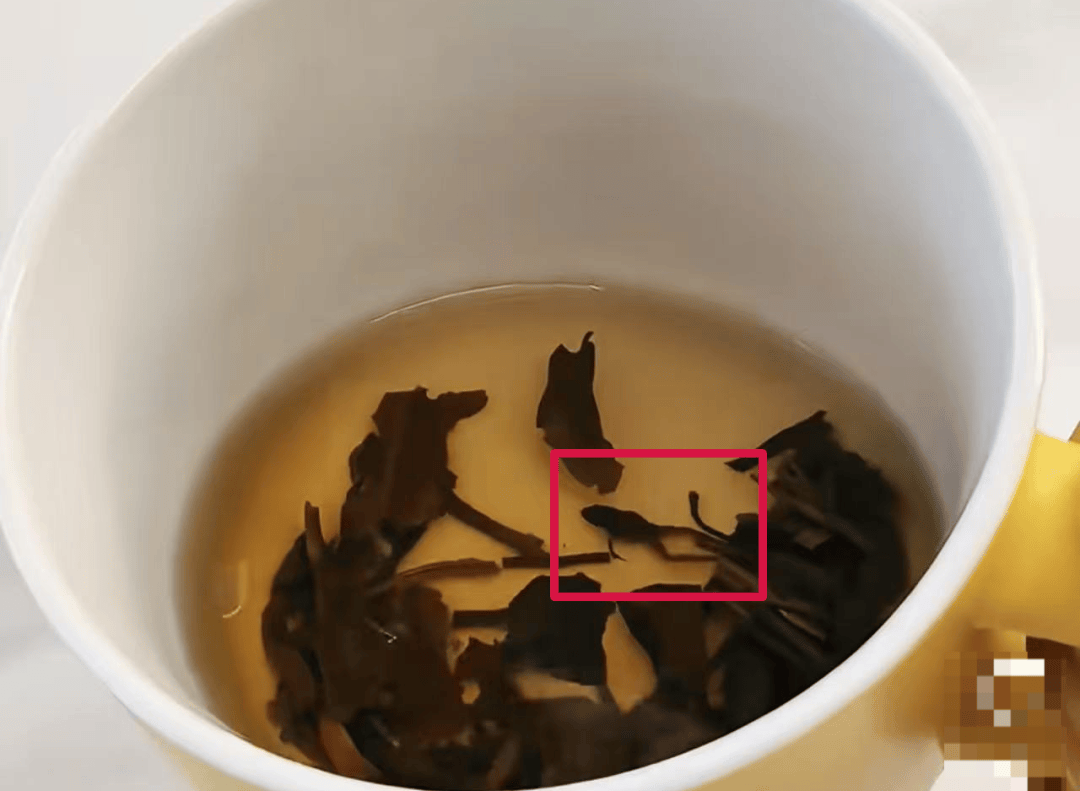 奈雪的茶，被曝喝出青蛙