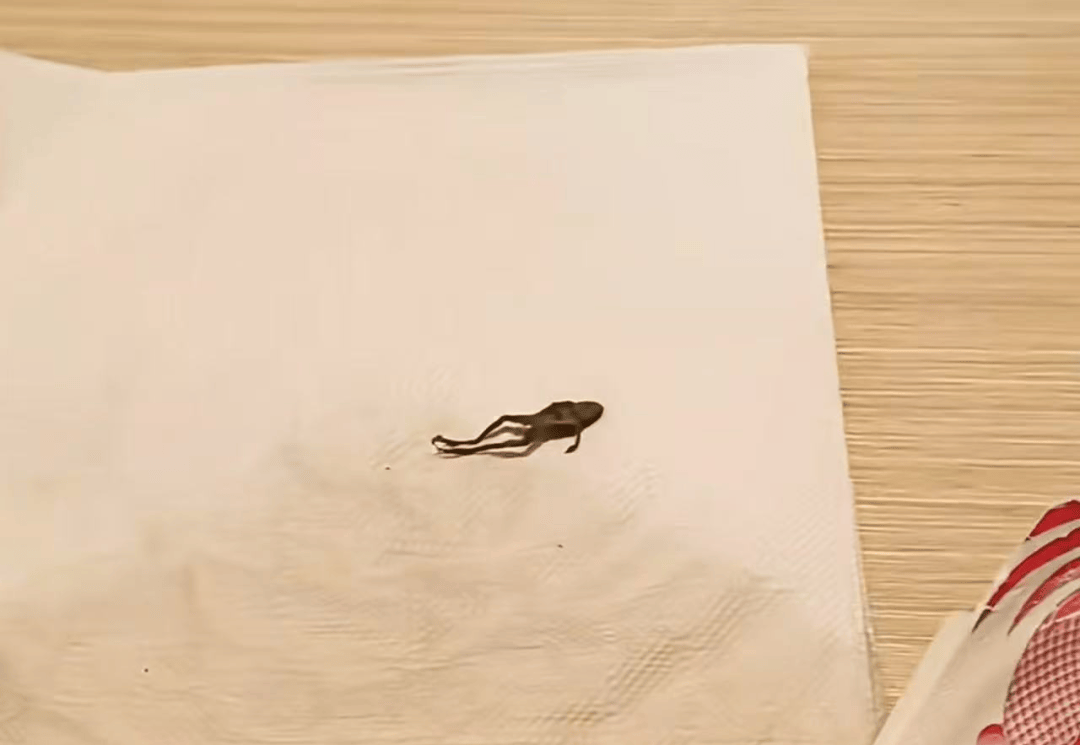 奈雪的茶，被曝喝出青蛙