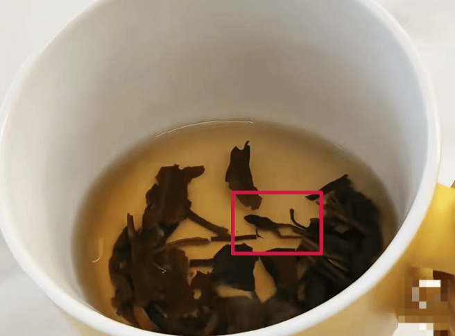 奈雪的茶被曝光喝出青蛙尸体
