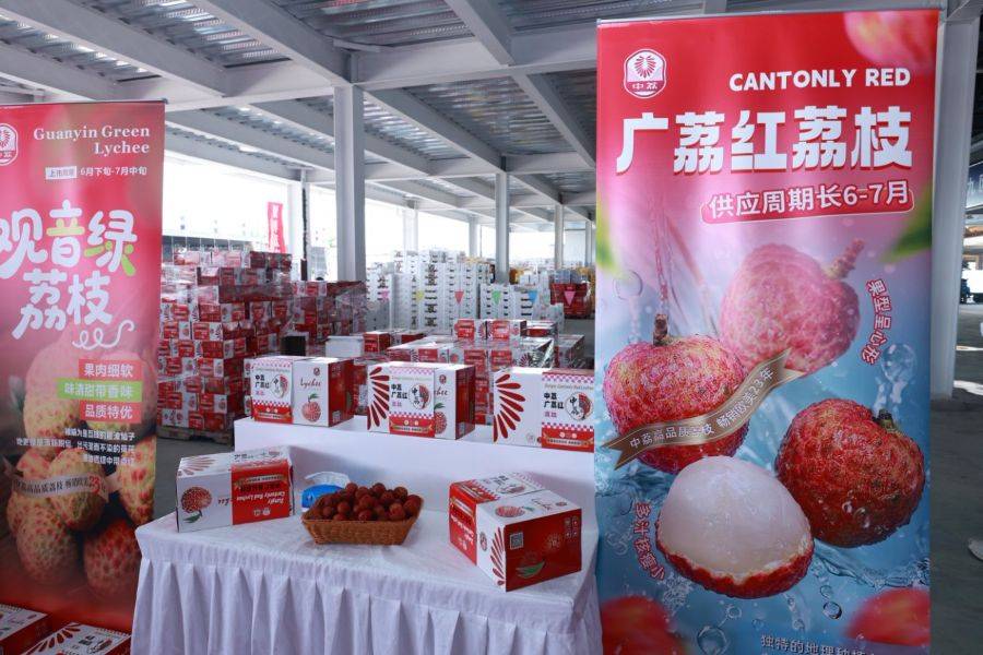 “媒体＋”开路 “荔友会”搭台：“东方爱情果”甜蜜上海滩