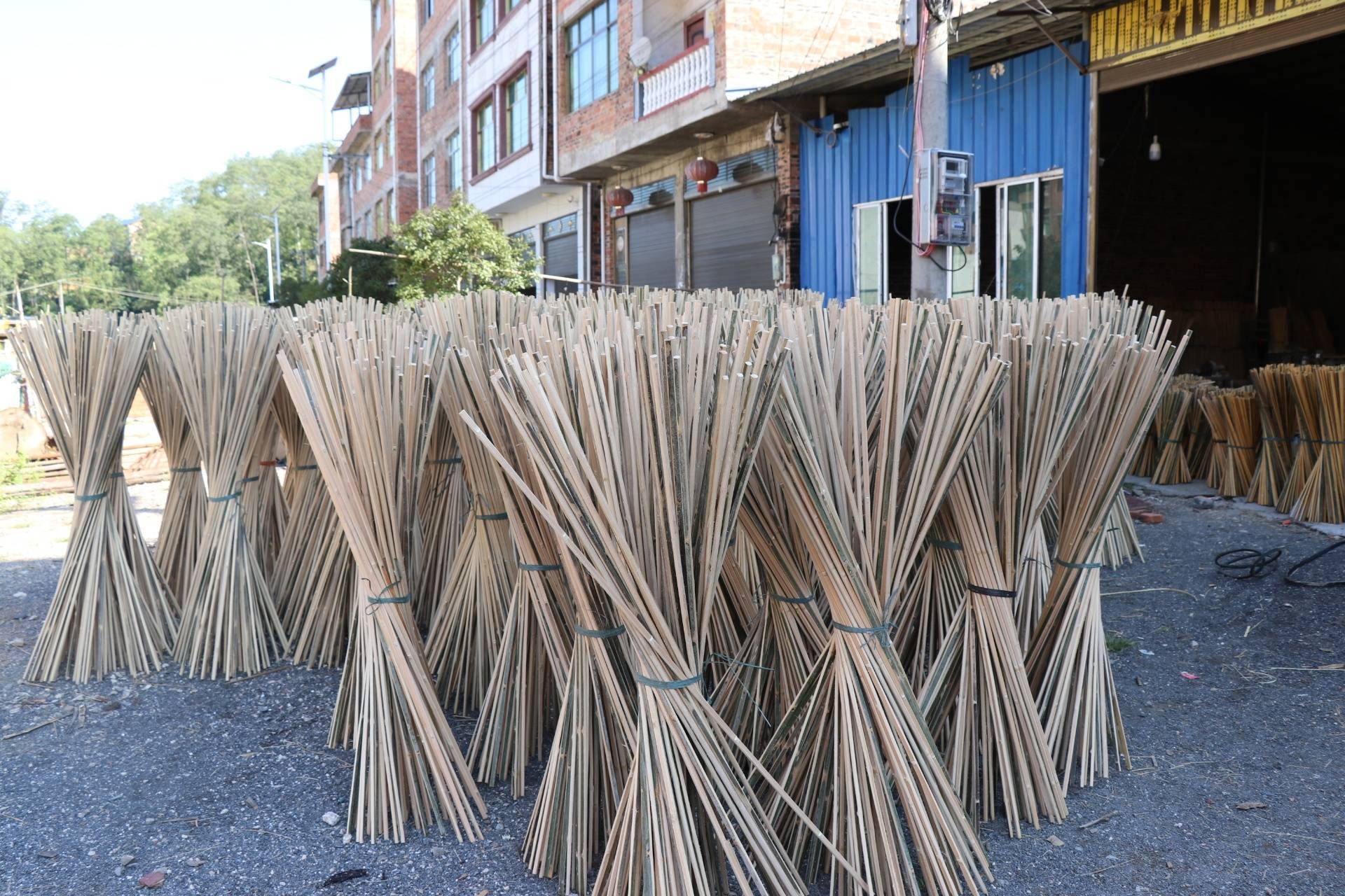 贵州镇远羊坪镇:千亩竹海里的增收“密码”