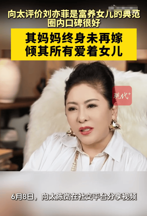 向太曝刘亦菲妈妈终身未再嫁:她一切都以女儿为重