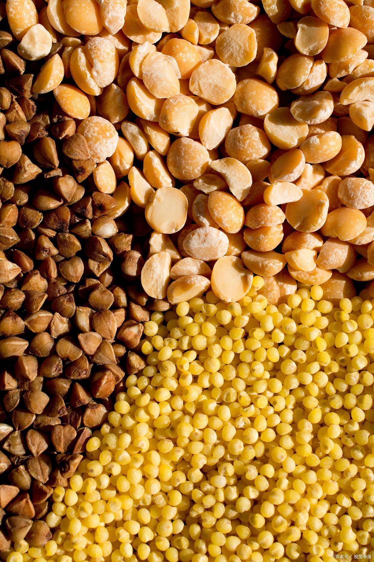 豆粕现货(豆粕现货3月10日已跌至3302元)