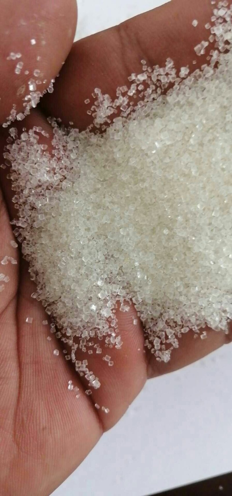 白糖现货(白糖现货行情走势图) 白糖现货(白糖现货行情走势图)